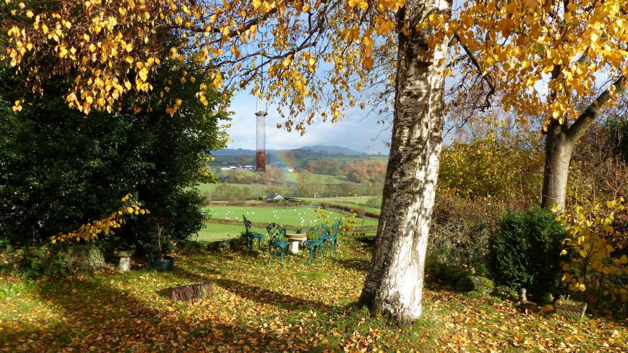 Appartamento Dolifor Llanwrthwl Esterno foto