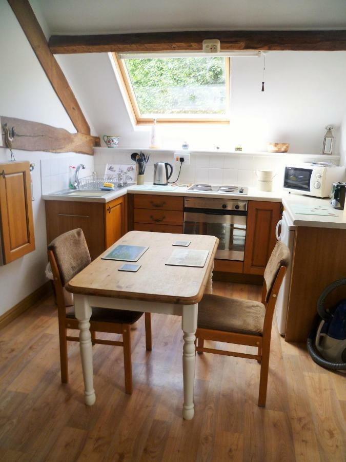 Appartamento Dolifor Llanwrthwl Esterno foto